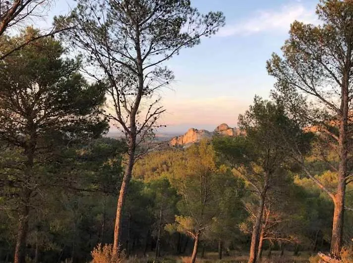 Mas La Lebre Au Coeur Des Alpilles Villa Saint-Remy-de-Provence France
