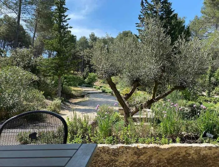 Holiday home Mas La Lebre Au Coeur Des Alpilles Villa Saint-Remy-de-Provence