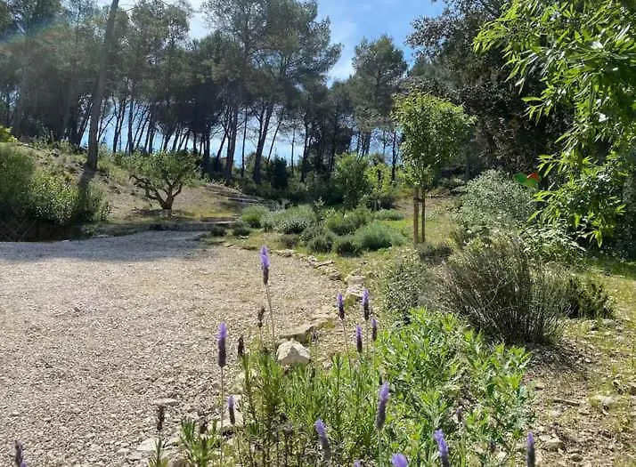 Mas La Lebre Au Coeur Des Alpilles Villa Saint-Remy-de-Provence Holiday home