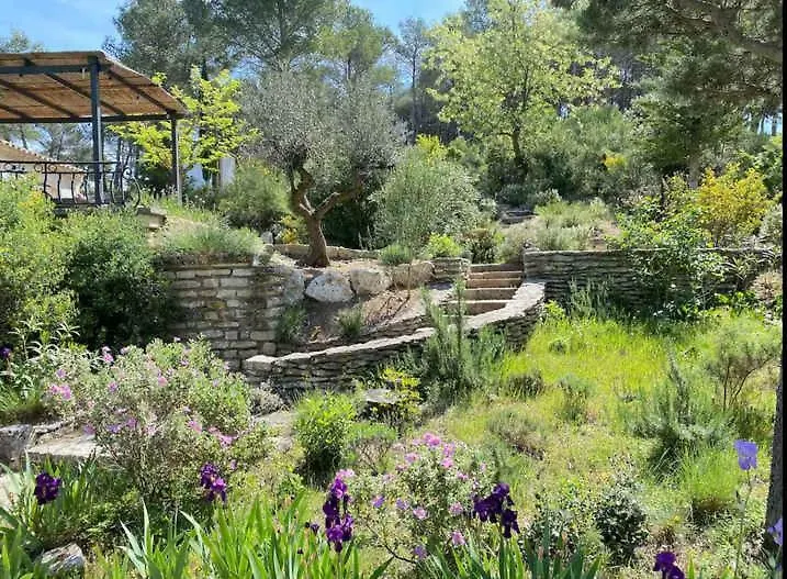Holiday home Mas La Lebre Au Coeur Des Alpilles Villa Saint-Remy-de-Provence