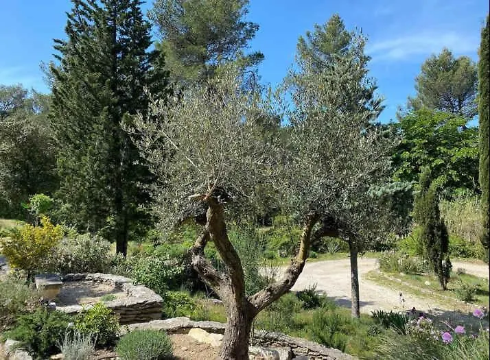 Holiday home Mas La Lebre Au Coeur Des Alpilles Villa Saint-Remy-de-Provence France