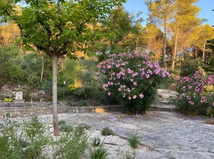 Mas La Lebre Au Coeur Des Alpilles Villa Saint-Remy-de-Provence France